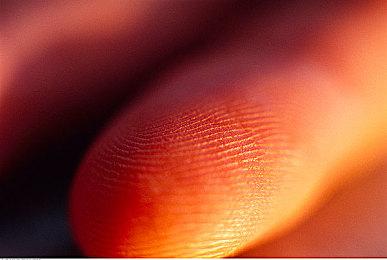 《哆啦A梦 大雄的牧场物语2》新预告公开 11月2日正式发售